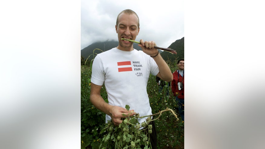 chris martin stalk of corn cane reuters.jpg